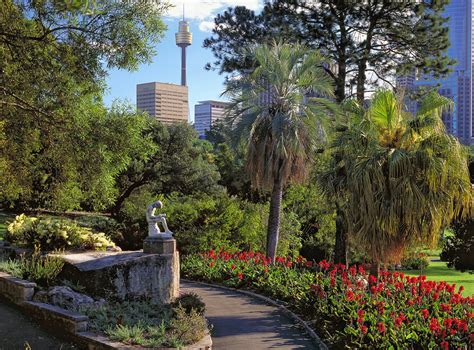 Royal Botanic Garden Sydney | Botanic Gardens of Sydney