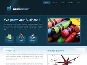 the website design for business company