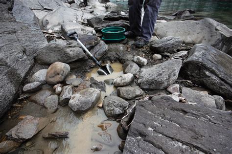 Panning for gold in the Fraser River near Valemount – The Rocky ...