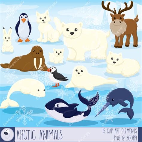 Arctic animals clipart, winter clipart, animal clipart, arctic animal clip art, pet clip art ...