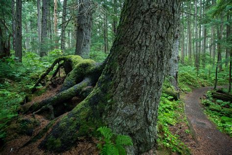 5 Ways For Kids To See Wildlife In Juneau, Alaska