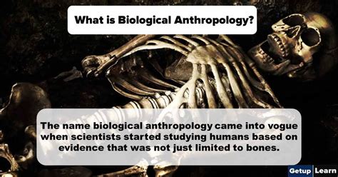 What is Biological Anthropology? Fields of Study, History