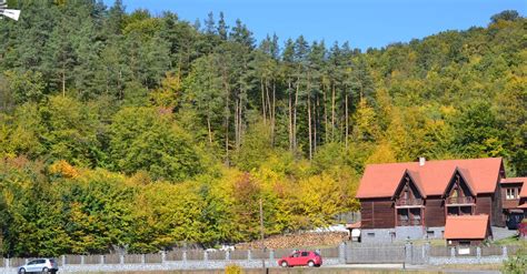 House in Village in Forest · Free Stock Photo