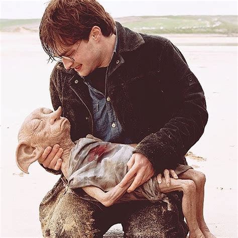 Did you cry when Dobby died? | Dobby harry potter, Harry potter films, Harry potter