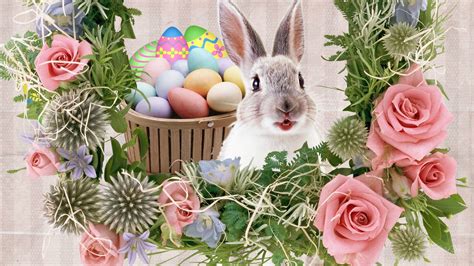 Easter Bunny Wallpapers (64+ images)