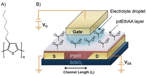 Electronics | Free Full-Text | Electrolytic Gated Organic Field-Effect ...