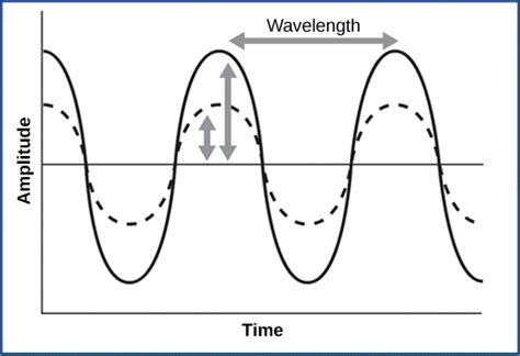 8.3 – Special Senses – Introductory Animal Physiology