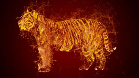 Flaming Tiger by PureDeluxe on DeviantArt