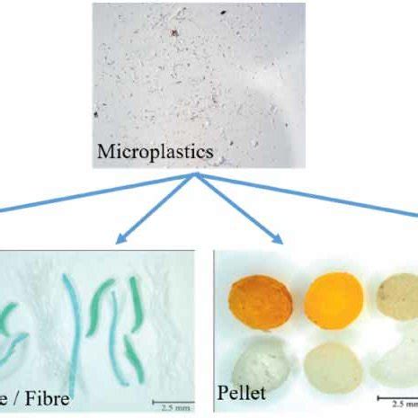 (PDF) Removal of microplastics from wastewater: available techniques ...