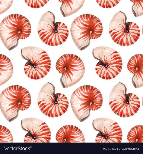 Watercolor sea life nautilus shell pattern Vector Image