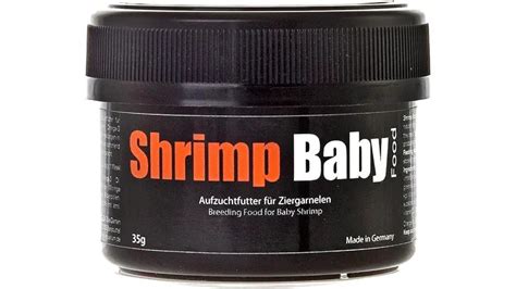 What Do Baby Cherry Shrimp Eat - ShrimpTips