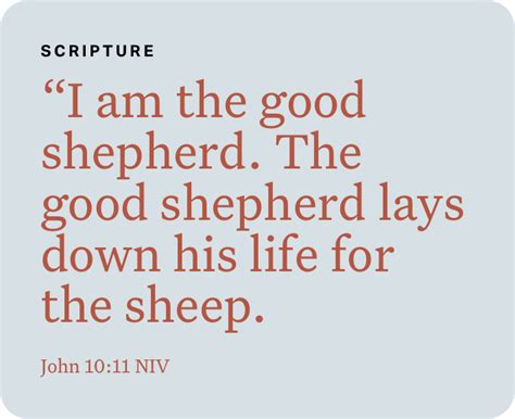 John‬ ‭10:11‬ ‭NIV‬‬ in 2021 | The good shepherd, Bible apps, Life