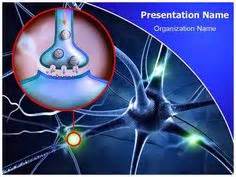 22 Neurology PowerPoint (PPT) Presentation Templates ideas | powerpoint templates, presentation ...