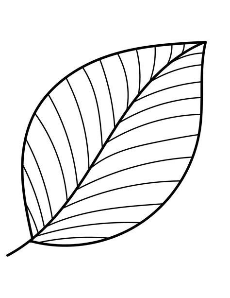 Printable Leaf Outline Templates - Crafty Morning