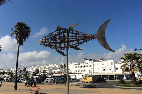 9 Best Things to Do in Conil de la Frontera - What is Conil de la Frontera Most Famous For? – Go ...