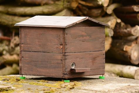 Bumblebee Shelter - How To Make A Bumblebee Nest For The Garden