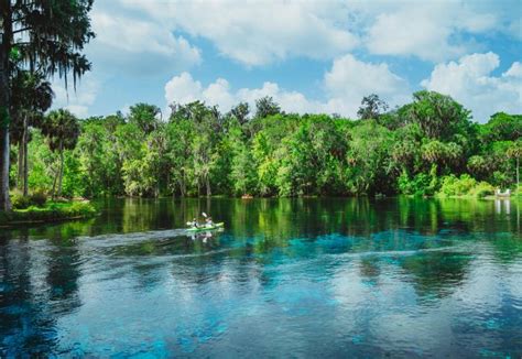 Silver Springs State Park | Florida State Parks