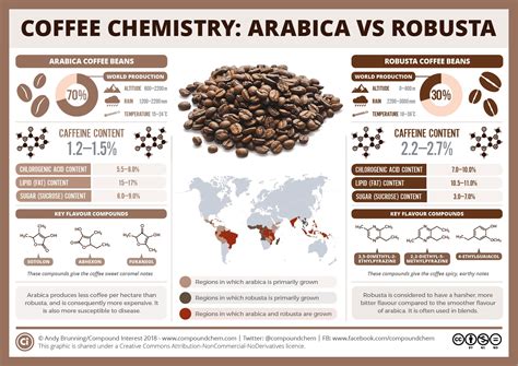 ARABICA & ROBUSTA: AROMA & STRONG FLAVOR - RITA Beverages Viet Nam