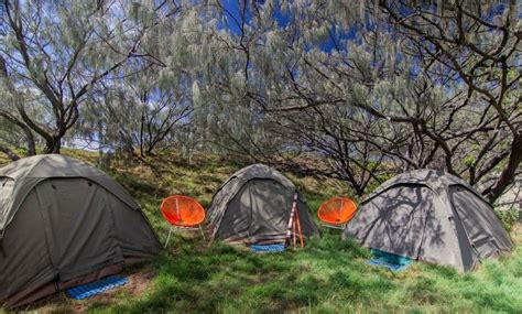 Fraser Island Camping - QLD Travel