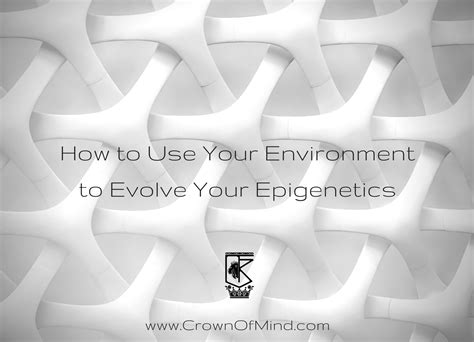 How to Use Your Environment to Evolve Your Epigenetics - CrownOfMind.Com