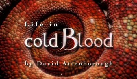 Life in Cold Blood - BBC Documentary series (2008) As much as perhaps ...