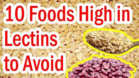 Top 10 Foods High in Lectins to Avoid | Lectin free diet, Food, Lectins