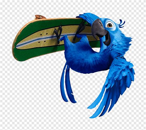 Blu Nigel Linda Bia Rio, blauer Macaw, Darsteller, Animation png | PNGEgg