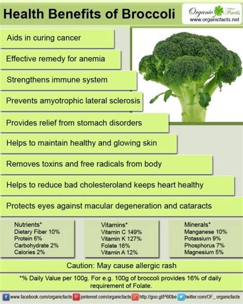 Broccoli Nutrition Facts 100g - SAM Vegetable