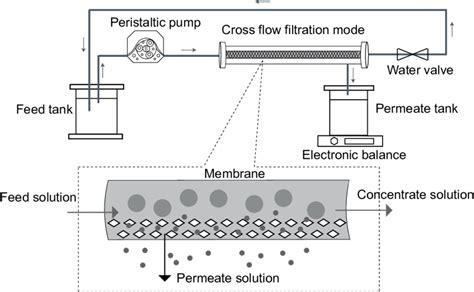 Schematic diagram of the membrane filtration system. | Download Scientific Diagram