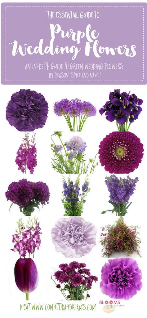 Get purple wedding flower names and ideas with pics + seasons. Save the purple flower guide ...