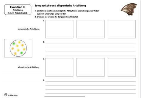 Kann mir jemand mit diesen Aufgaben helfen in Biologie? (Bio, Genetik, DNA)