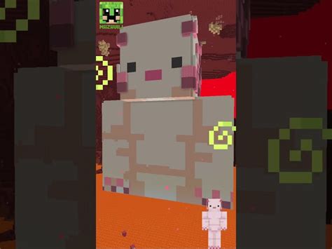 Minecraft Axolotl Skin Statue Free 120 Height 1.20.2/1.20.1/1.20/1.19.2/1.19.1/1.19/1.18/1.17.1 ...