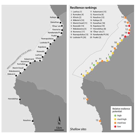 Relax, Don’t Stress: Health and Potential of West Hawaiʻi Coral Reefs to Recover - NOAA Habitat ...