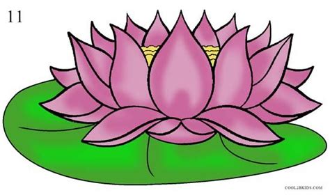 How to Draw Lotus Flower Step 11 | Flower drawing, Flower drawings with color, Drawings