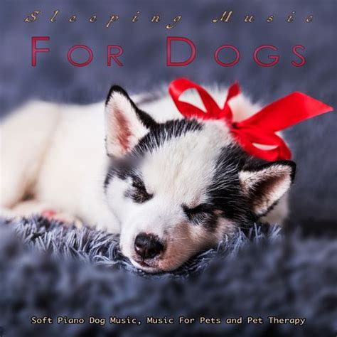 Sleeping Music For Dogs: Soft Piano Dog Music, Music For Pets and Pet ...