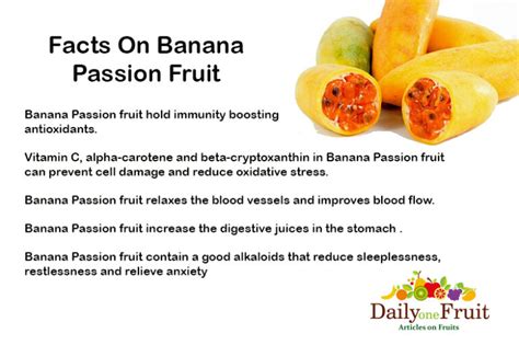 Facts On Banana Passion Fruit - dailyonefruit