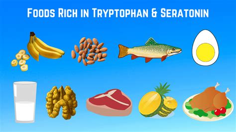 Tryptophan: Benefits, Side Effects and 7 Foods – Tense Health