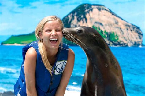 Sea Life Park Dolphin Interactions