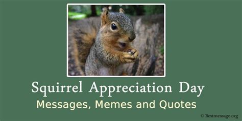 Squirrel Appreciation Day Messages, Memes and Quotes