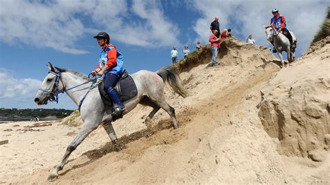 For Horses, Like Elite Athletes, It’s All About the Training - The New ...