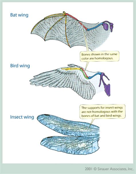 biology endeavours