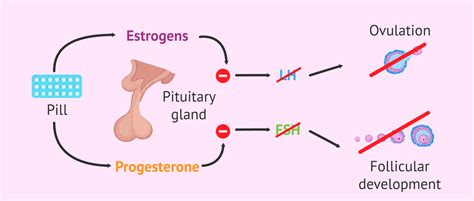 Amenorrhea due to hormonal contraception