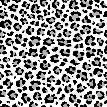 Snow Leopard Fur Pattern