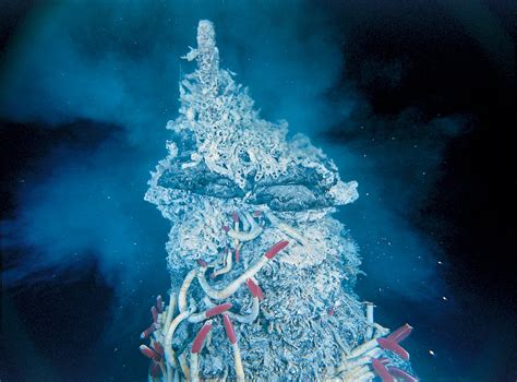 Volcanoes of the Deep Sea | The Stephen Low Company