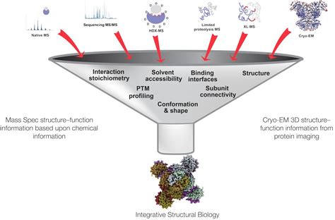 Protein Structure Analysis with Mass Spectrometry | Thermo Fisher ...