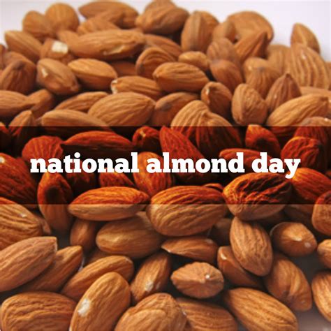 National Almond Day-16th February - Radio Sargam