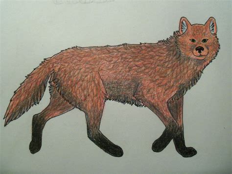 Red Wolf by WooflesArt on DeviantArt