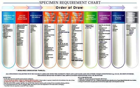 Which of the Following Is Included in Specimen Collection Guidelines ...