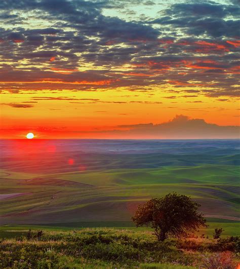 Palouse Hills 20 Photograph by Mike Penney - Pixels