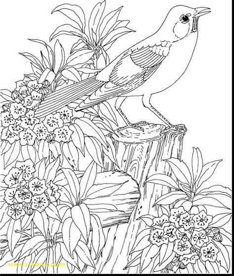 37+ Nature Scene Nature Coloring Pages For Adults Images - Coloring Pages